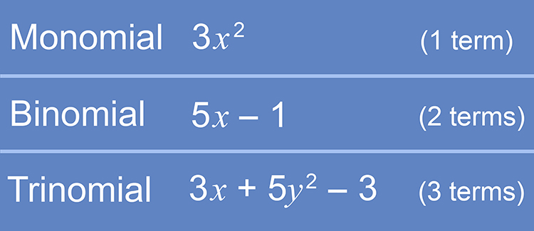 Binomial is the word given to 2 terms in an equation